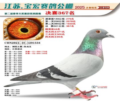 寶宏春棚決賽367名
