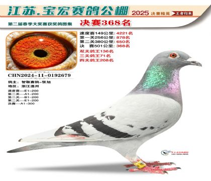寶宏春棚決賽368名