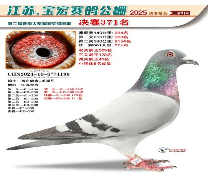 寶宏春棚決賽371名