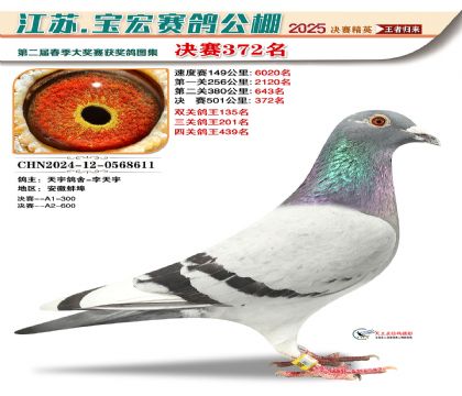 寶宏春棚決賽372名