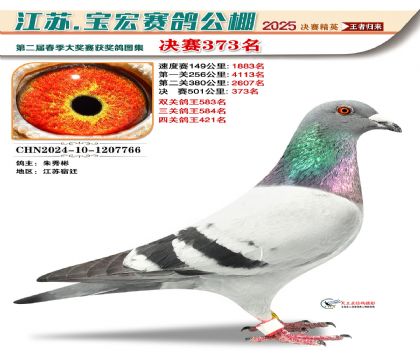 寶宏春棚決賽373名