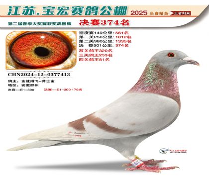 寶宏春棚決賽374名
