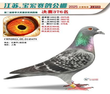 寶宏春棚決賽376名
