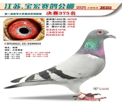 寶宏春棚決賽375名