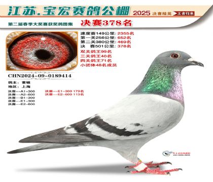 寶宏春棚決賽378名