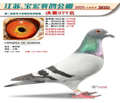 寶宏春棚決賽377名