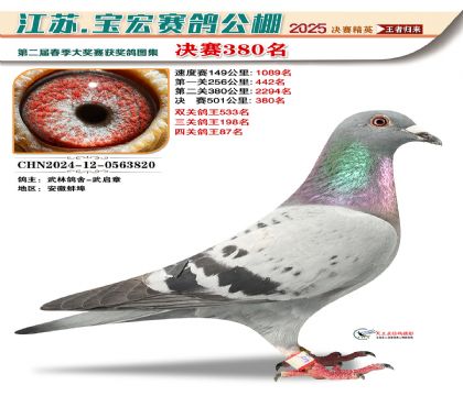 寶宏春棚決賽380名