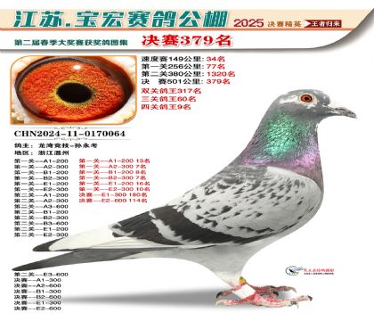 寶宏春棚決賽379名