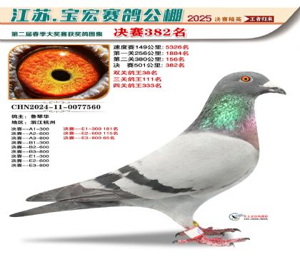 寶宏春棚決賽382名