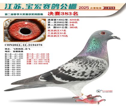 寶宏春棚決賽383名