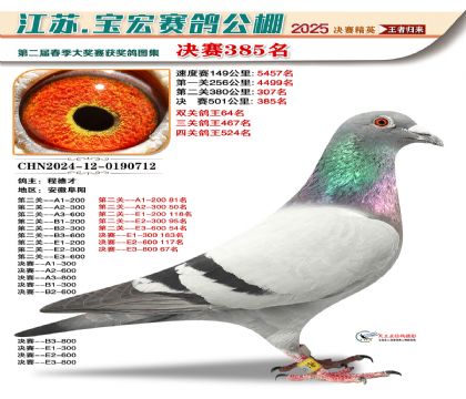 寶宏春棚決賽385名
