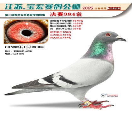 寶宏春棚決賽384名