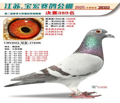 寶宏春棚決賽389名