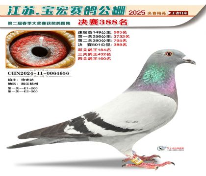 寶宏春棚決賽388名