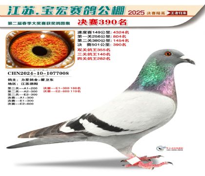 寶宏春棚決賽390名
