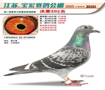 寶宏春棚決賽392名