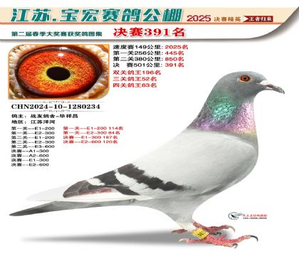 寶宏春棚決賽391名