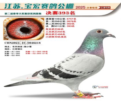 寶宏春棚決賽393名
