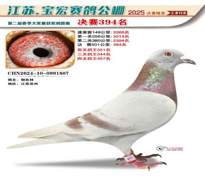 寶宏春棚決賽394名