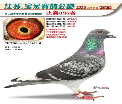 寶宏春棚決賽395名