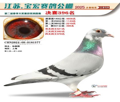 寶宏春棚決賽396名