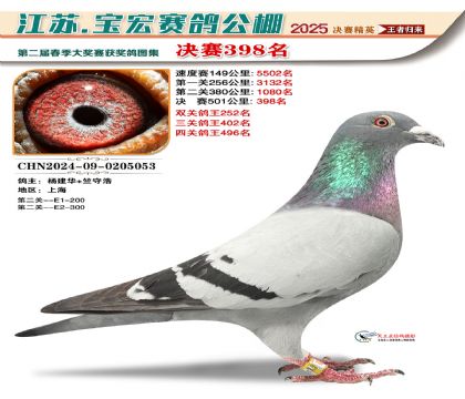 寶宏春棚決賽398名