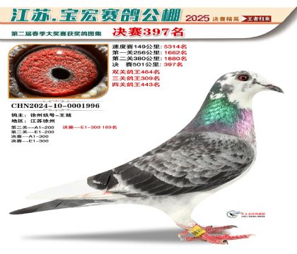 寶宏春棚決賽397名