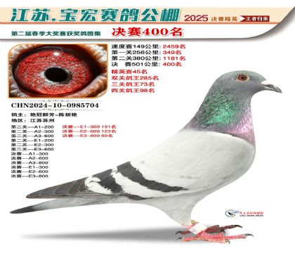 寶宏春棚決賽400名