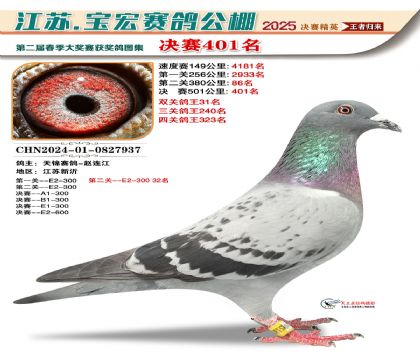 괺Qِ401