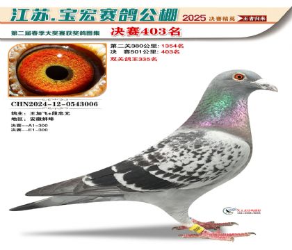 寶宏春棚決賽403名