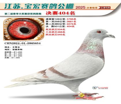 寶宏春棚決賽404名
