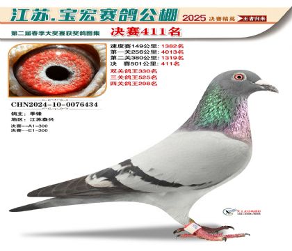 寶宏春棚決賽411名