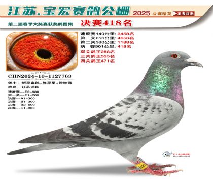 寶宏春棚決賽418名