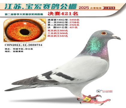 寶宏春棚決賽421名
