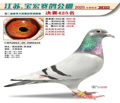 寶宏春棚決賽425名