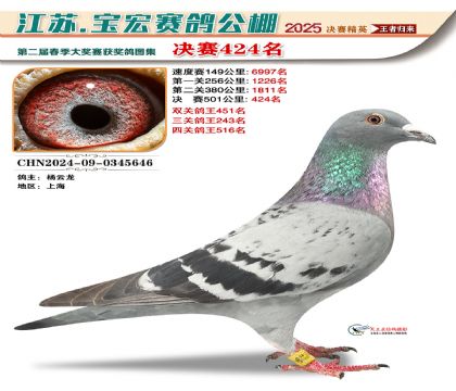 寶宏春棚決賽424名