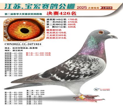寶宏春棚決賽426名