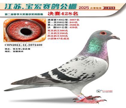 寶宏春棚決賽428名