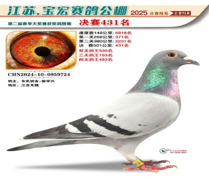 寶宏春棚決賽431名