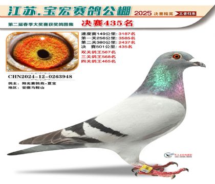 寶宏春棚決賽435名
