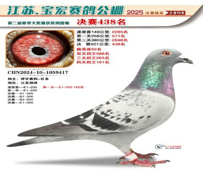 괺Qِ438