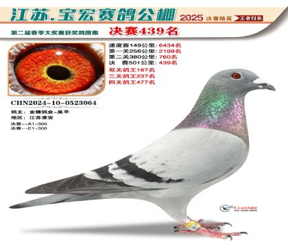 寶宏春棚決賽439名