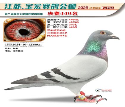 寶宏春棚決賽440名