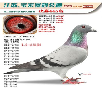 寶宏春棚決賽445名