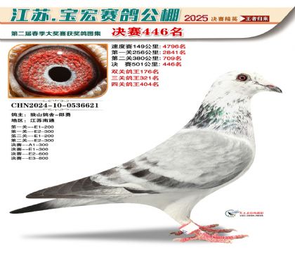 寶宏春棚決賽446名