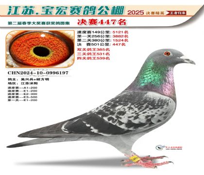 寶宏春棚決賽447名