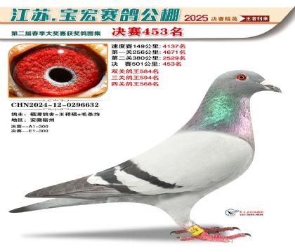 寶宏春棚決賽453名