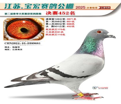 寶宏春棚決賽452名