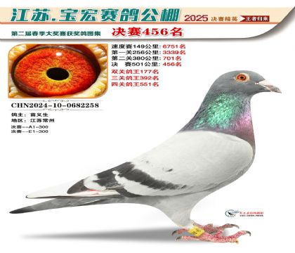 寶宏春棚決賽456名