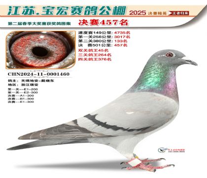 寶宏春棚決賽457名